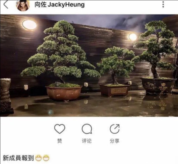 郭碧婷被“绑架”？郭碧婷和向佐结婚后为何越