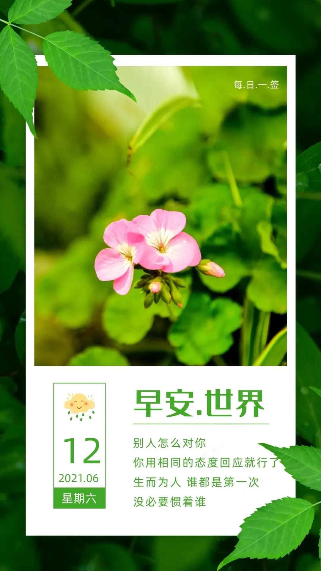 6月12日 早上好 美好的一天从我的问候开始 早安图片来啦 放飞的喀喀 Mdeditor