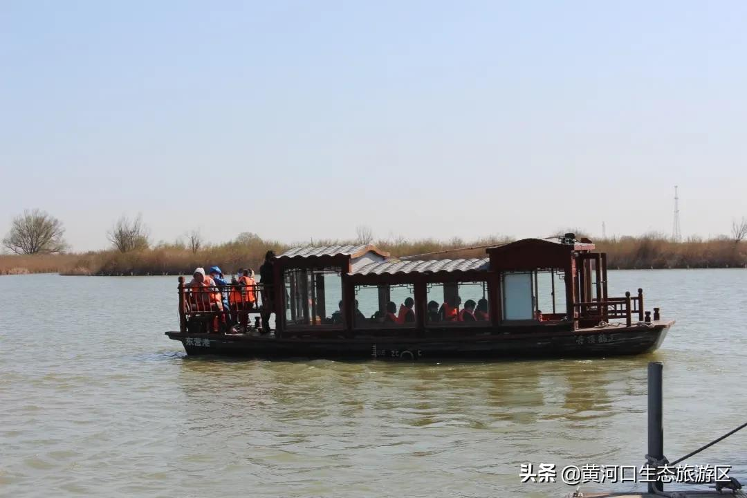 踏青正当时,莫负好春光