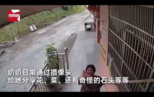 “云陪伴”,让我们与父母“共同生活”