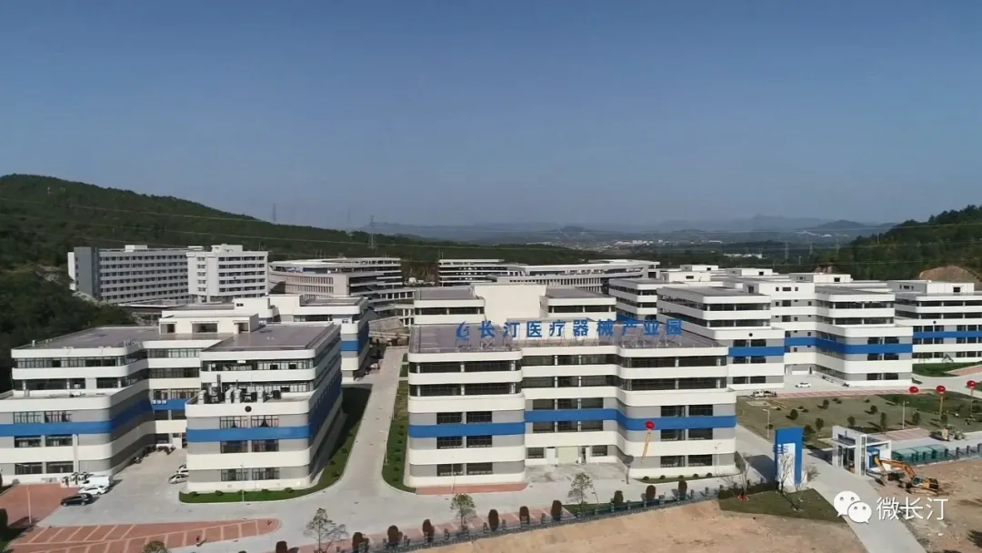 龙岩网站建设：数字转型的新引擎