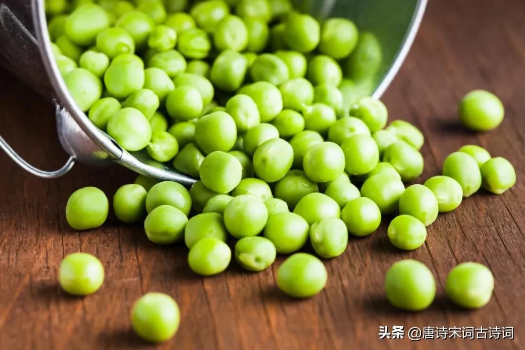 青杏尚小豆荚肥-第5张图片-非凡网 青杏尚小豆荚肥-第5张图片-非凡网