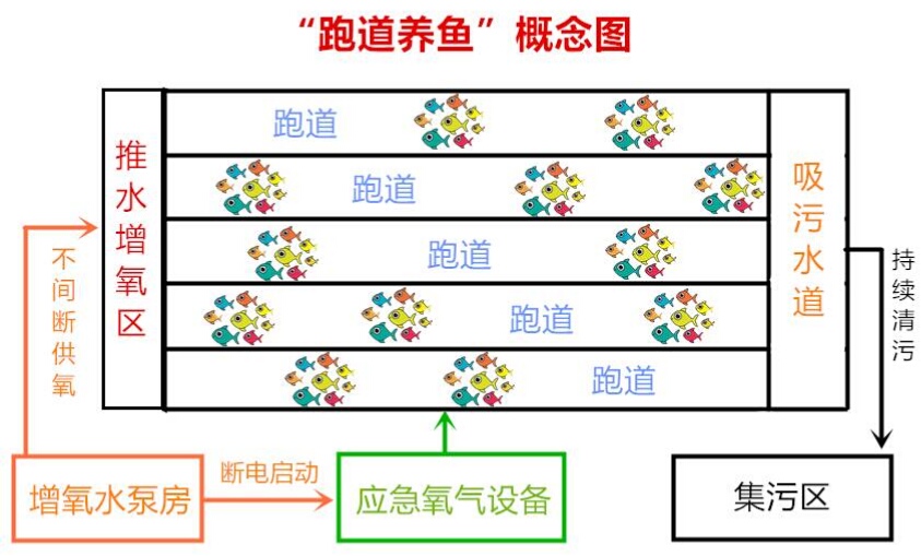 奇闻！美国科学家发明跑道式池塘，能否打破传统池塘养鱼？