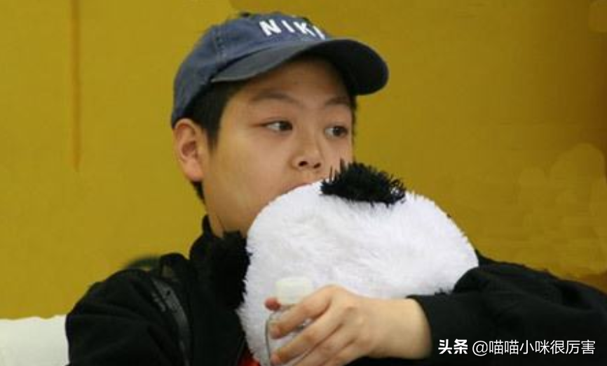 北京人艺：巍子为钱离开，王姬无戏可演出走，