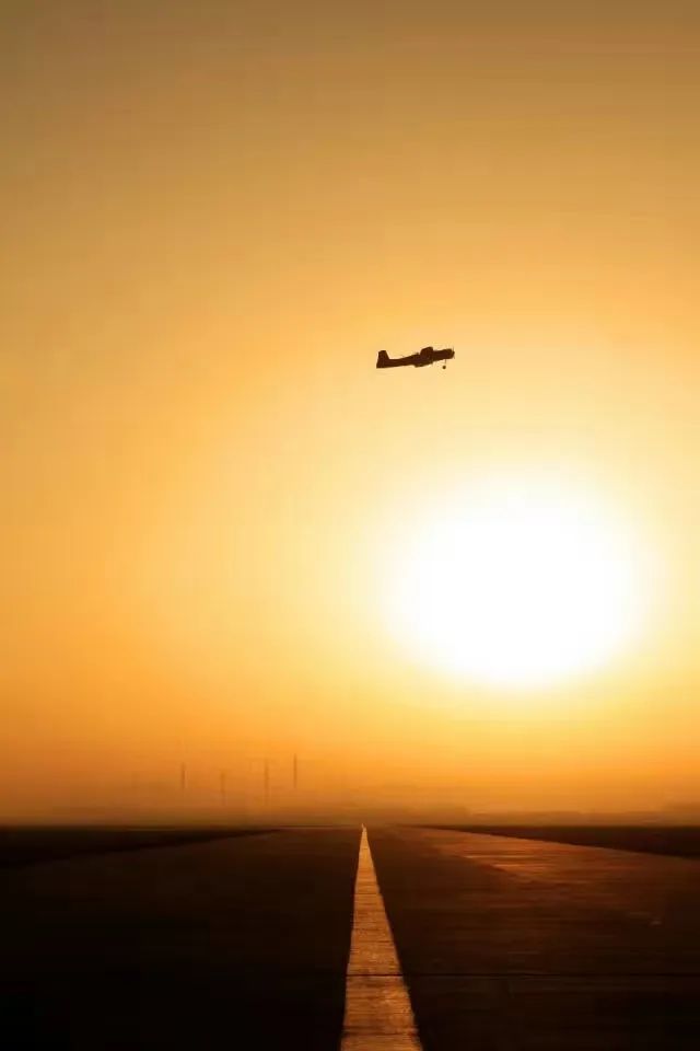 退伍后，那位初中学历的士官当了导演