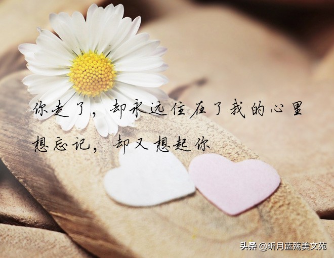 愿一切安好的优雅句子 愿你余生安好图片