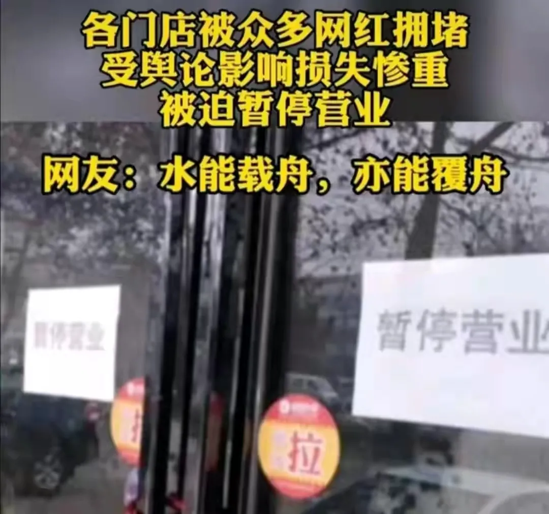 “狗比人命贵”徽州宴老板娘毁了自家企业，给餐饮人的警示