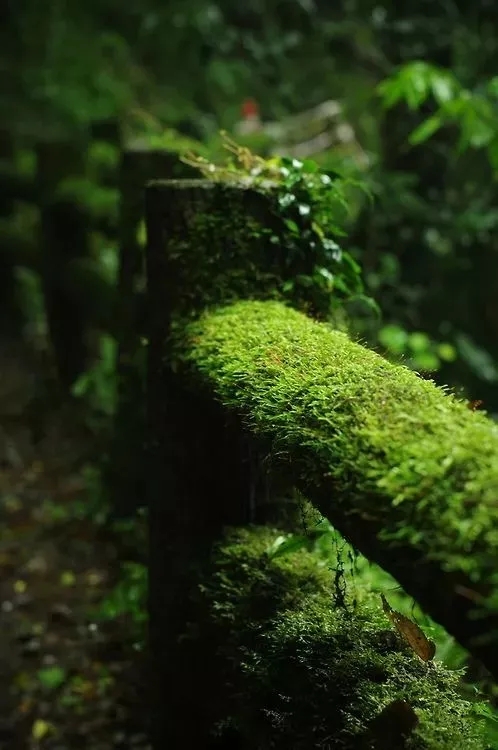 �����˼Һô���