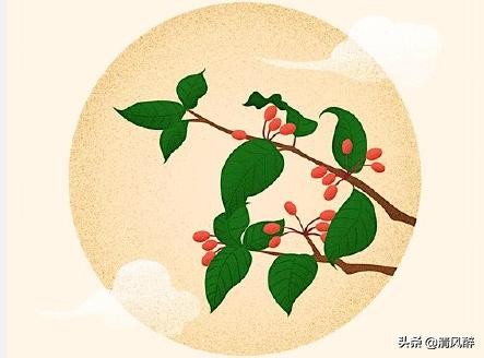 万圣节整人祝福短信，搞笑幽默，祝你节日快乐图片