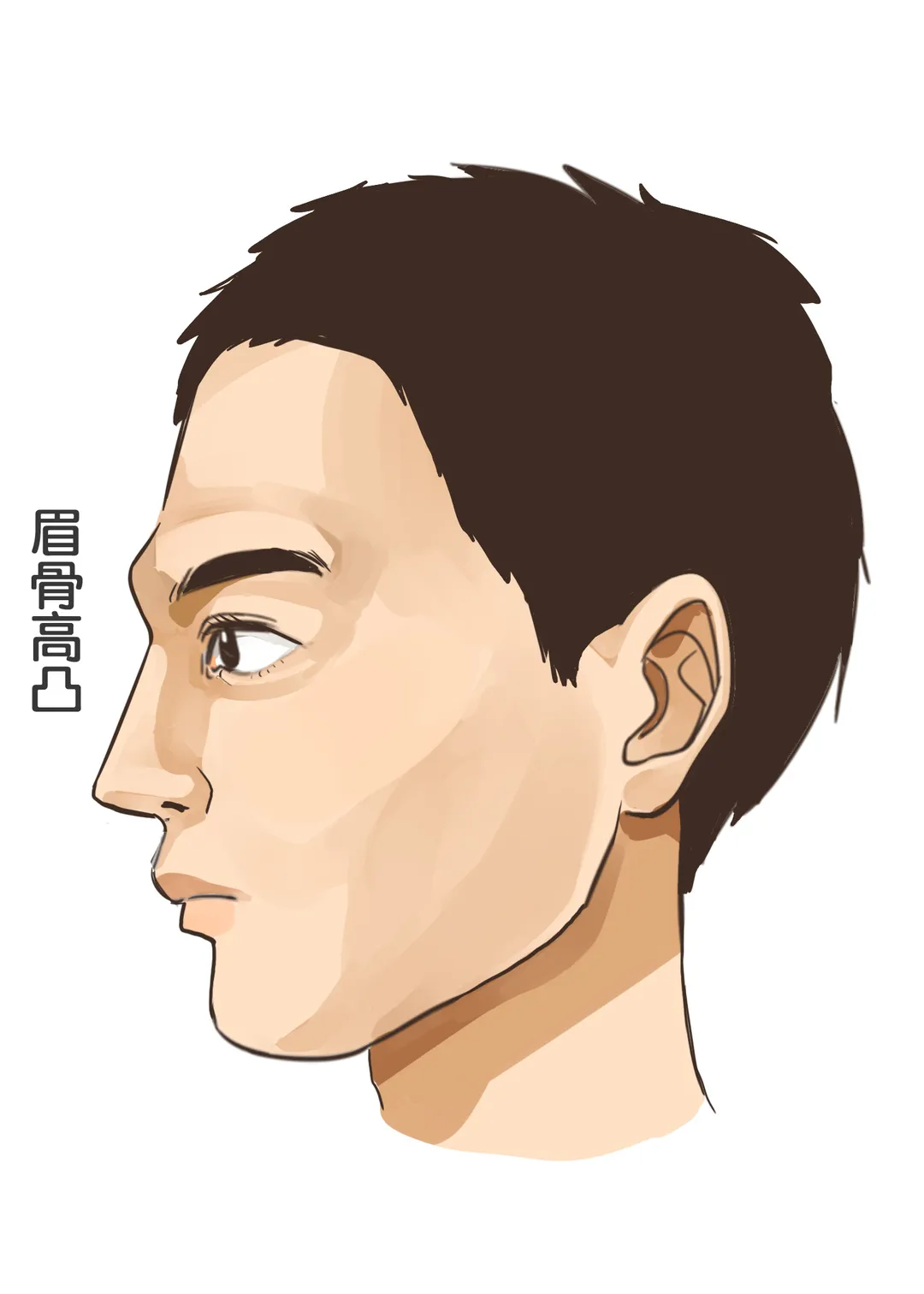 所谓眉目如画 除了美眼还需要眉骨 酷生活网 所谓眉目如画 除了美眼还需要眉骨 酷生活网