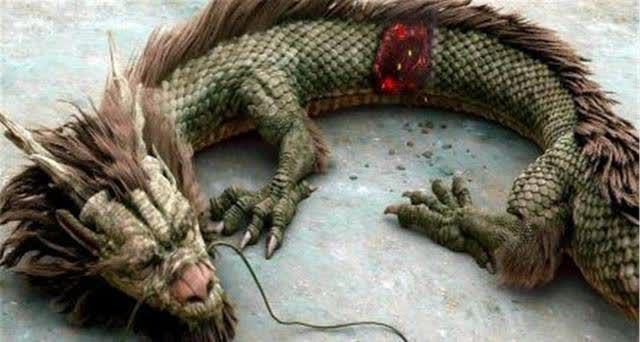 探讨营口坠龙事件的真实性:对"坠龙"的尺寸等特征有详细记载