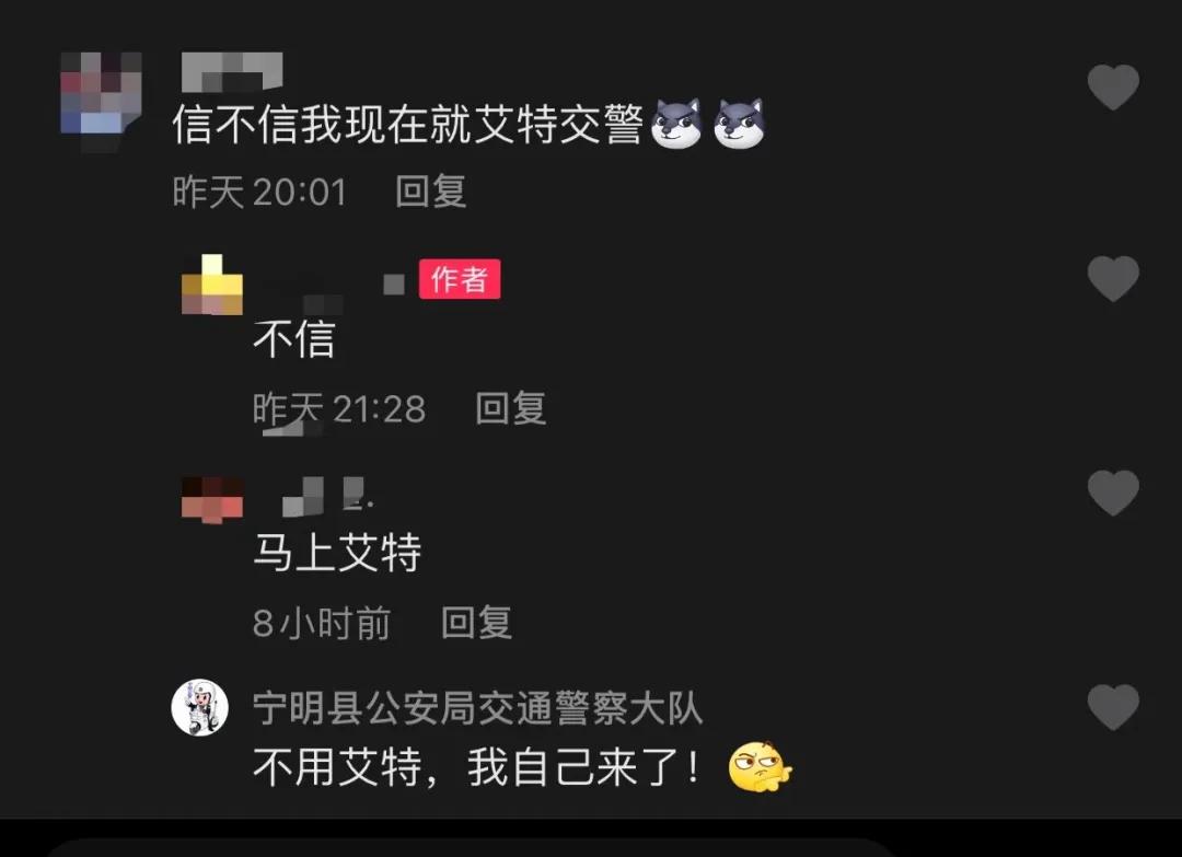 大河报汽车网