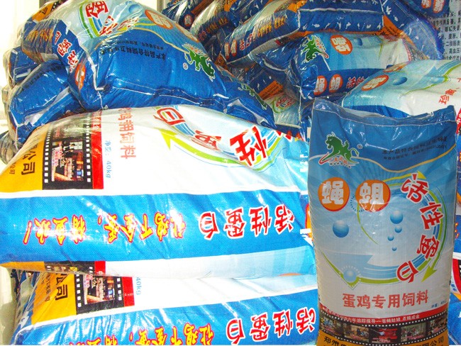 克迈拉新课题：开发黑水虻与鸡、鸭共养饲料