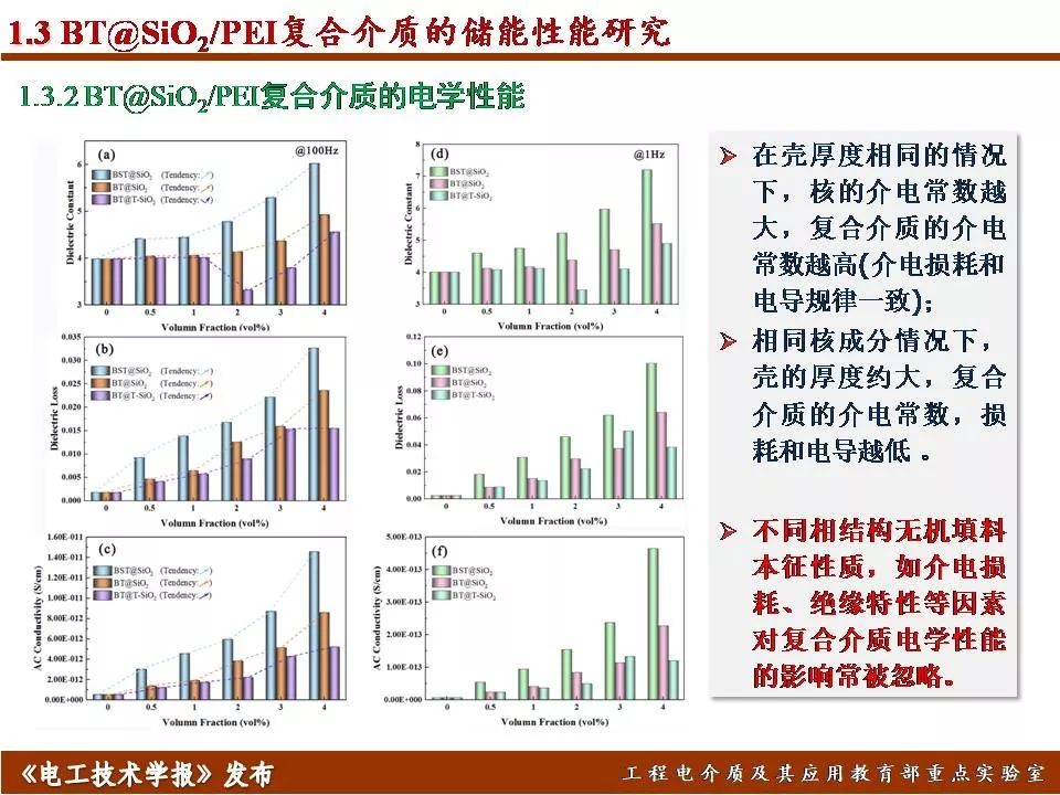 哈爾濱理工大學(xué)遲慶國：儲能型聚合物基絕緣介質(zhì)的效率與密度優(yōu)化