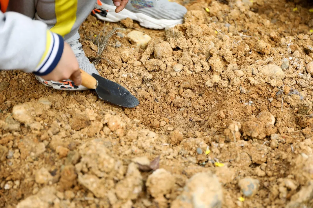 “我们”有一块地这就播种去丨天府新区元音小学劳动实践基地启动