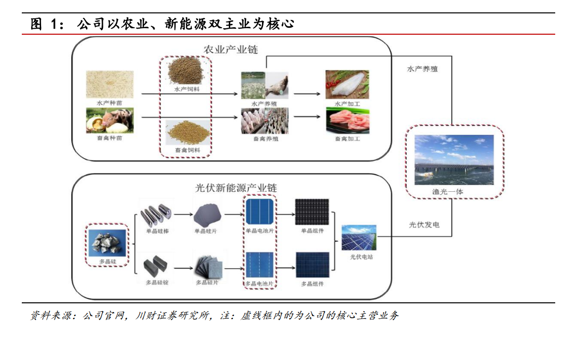通威股份专题研究：硅料、电池片两翼齐飞，成本技术优势领先
