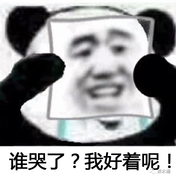 木材行情步步緊逼！木材人表示：漲到受不了