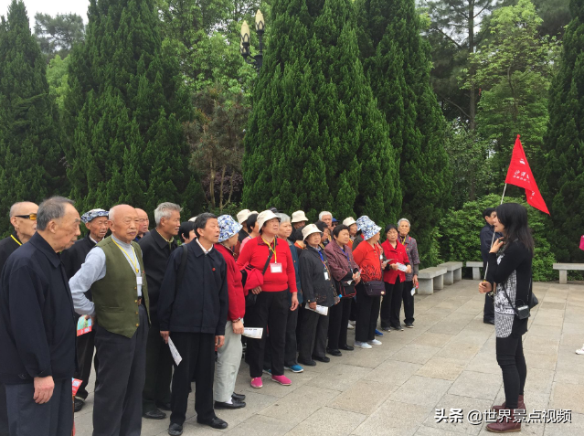 为什么不建议老年人出国旅游？有3个原因很现实