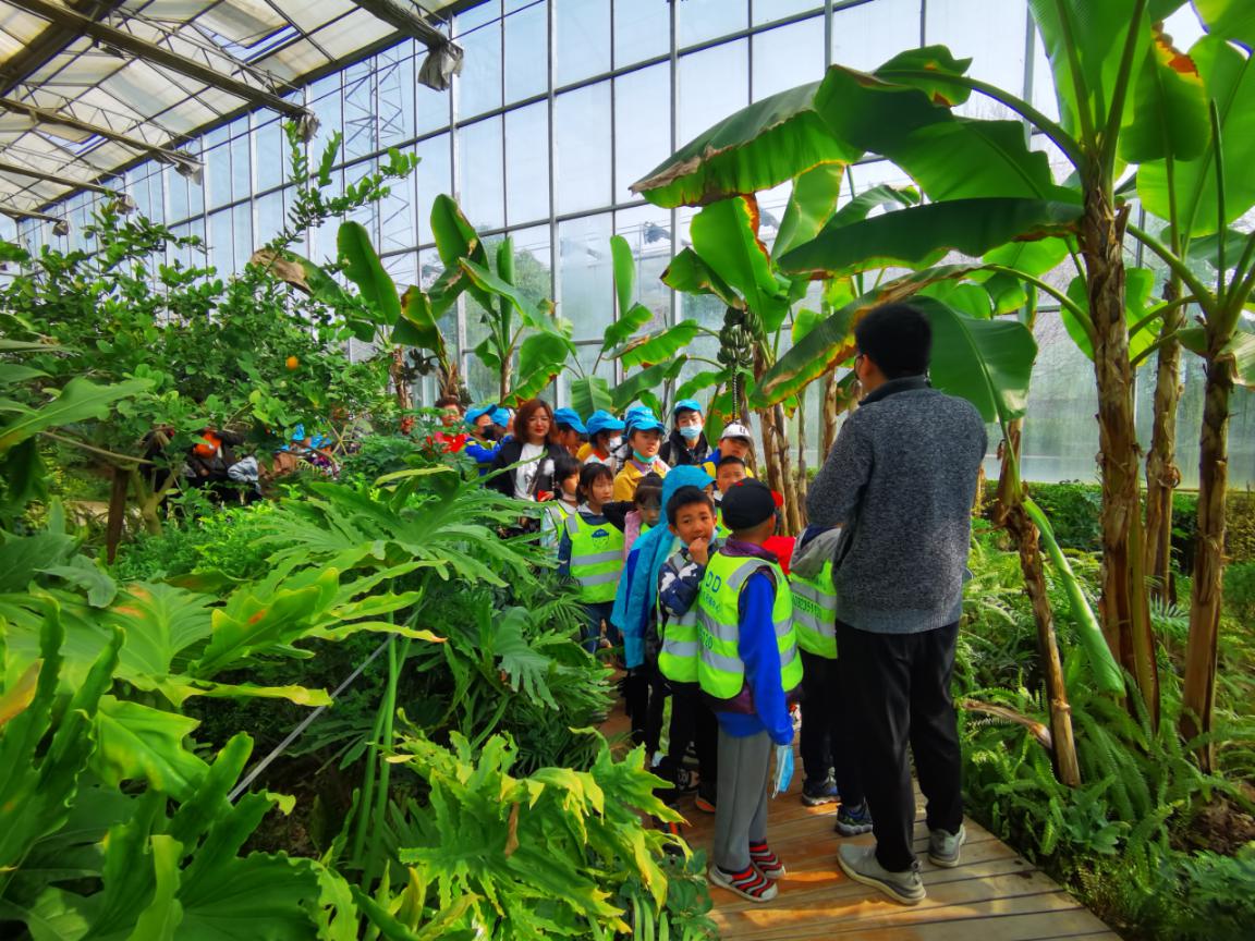 �ԷǷ��¾�ƽ������δ��Ϊ����ʦ������3000Ķ��ѧ���Ͷ���������