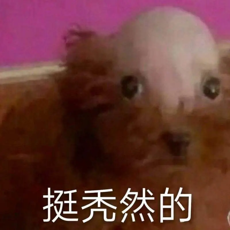 有点秃然!90后真正的烦恼是脱发