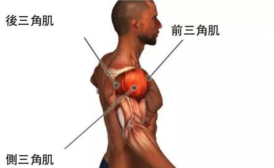 健身必練肩！一組炸裂肩部訓練，練出完美肩部線條