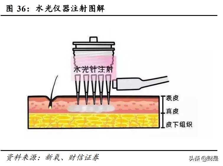 华熙生物深度解析：华匠运技乘风起，熙朝凝肤玉肌成