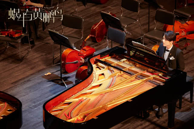 林允张新成新剧即将开播，网友：看到女主角，