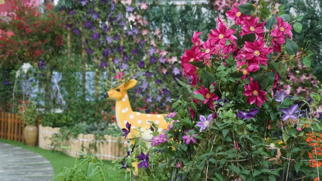 沭陽花木節(jié)“花卉園藝展”，沭陽人必去的網(wǎng)紅“打卡”圣地