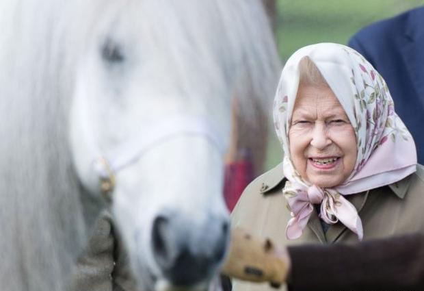 女王伊丽莎白二世的这个爱好，已经不是什么秘