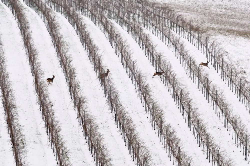 分不清是現實還是虛幻：45張攝影作品，捕捉大自然的神秘