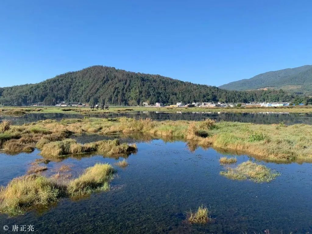 Angela的腾冲直播2—咖啡庄园、百花岭、北海湿地、银杏村