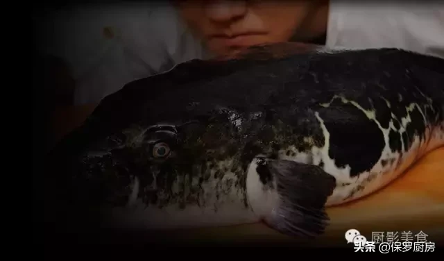 史上最全的顶级“海鱼”海鲜大全,全吃过的你人生就到达了巅峰!