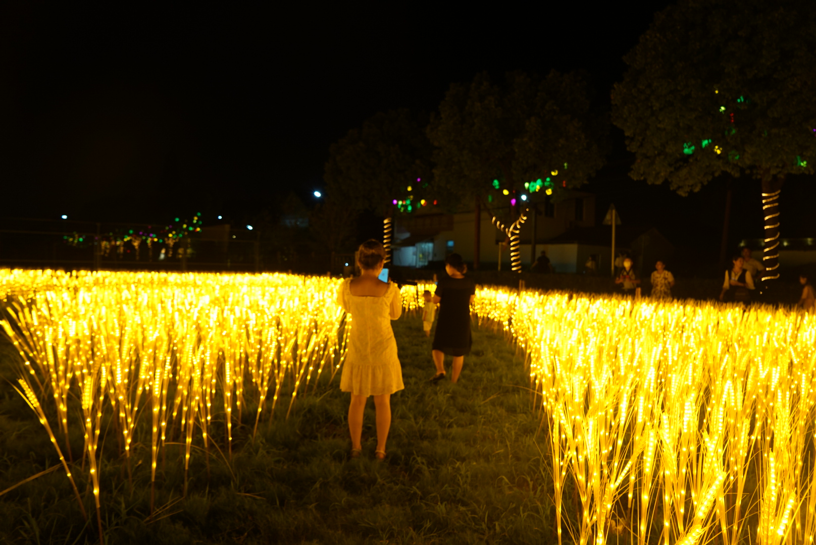 中秋賞月去哪玩？蘇州自駕半小時，免費的馮夢龍村燈會 你來過嗎？