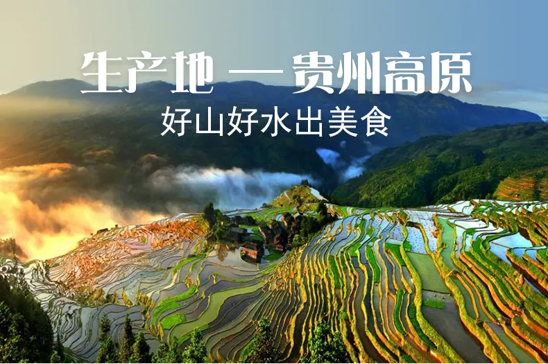 喜讯!贵州这家企业入选贵州首批高成长企业