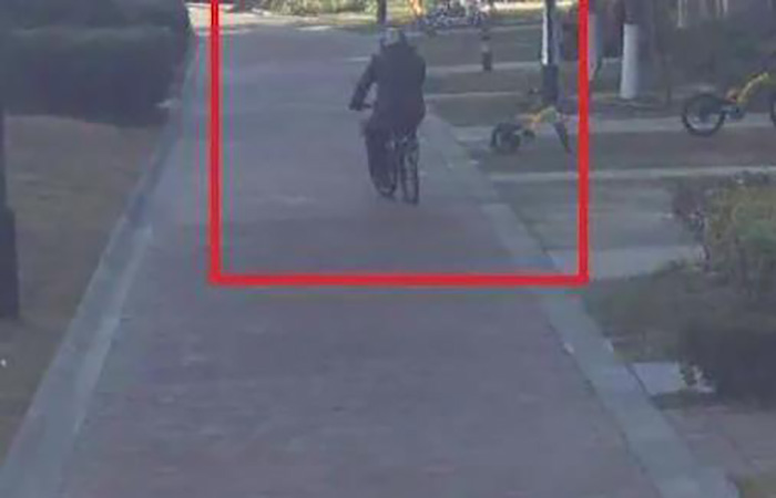 车花|男子偷190元车花188元寄回家被拘 哥你这脑回路实在是清奇