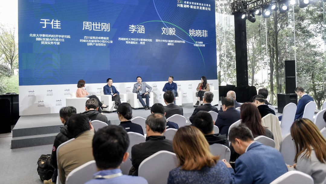 2020兴隆湖畔·新经济发展论坛在蓉举办