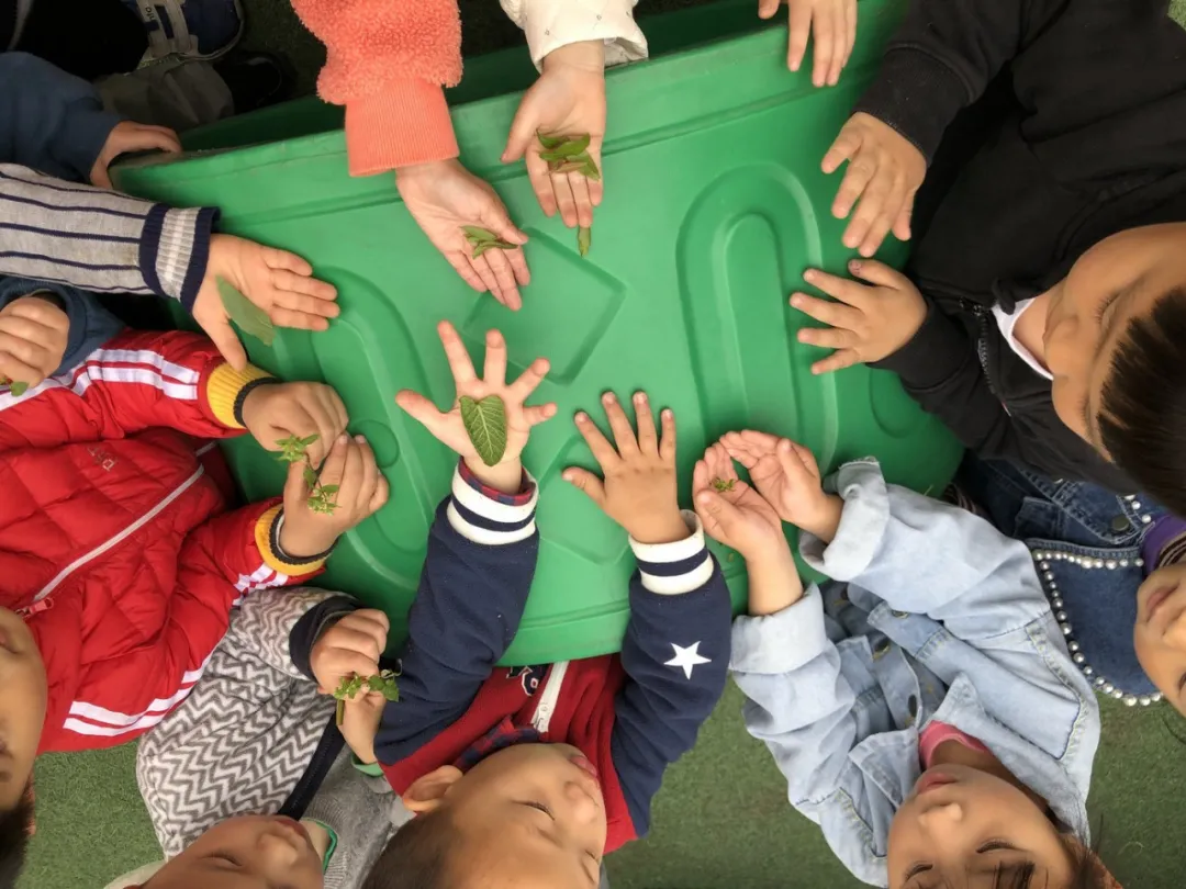 “小游戏”和“大课程”丨天府新区华阳幼儿园户外课程研究组活动