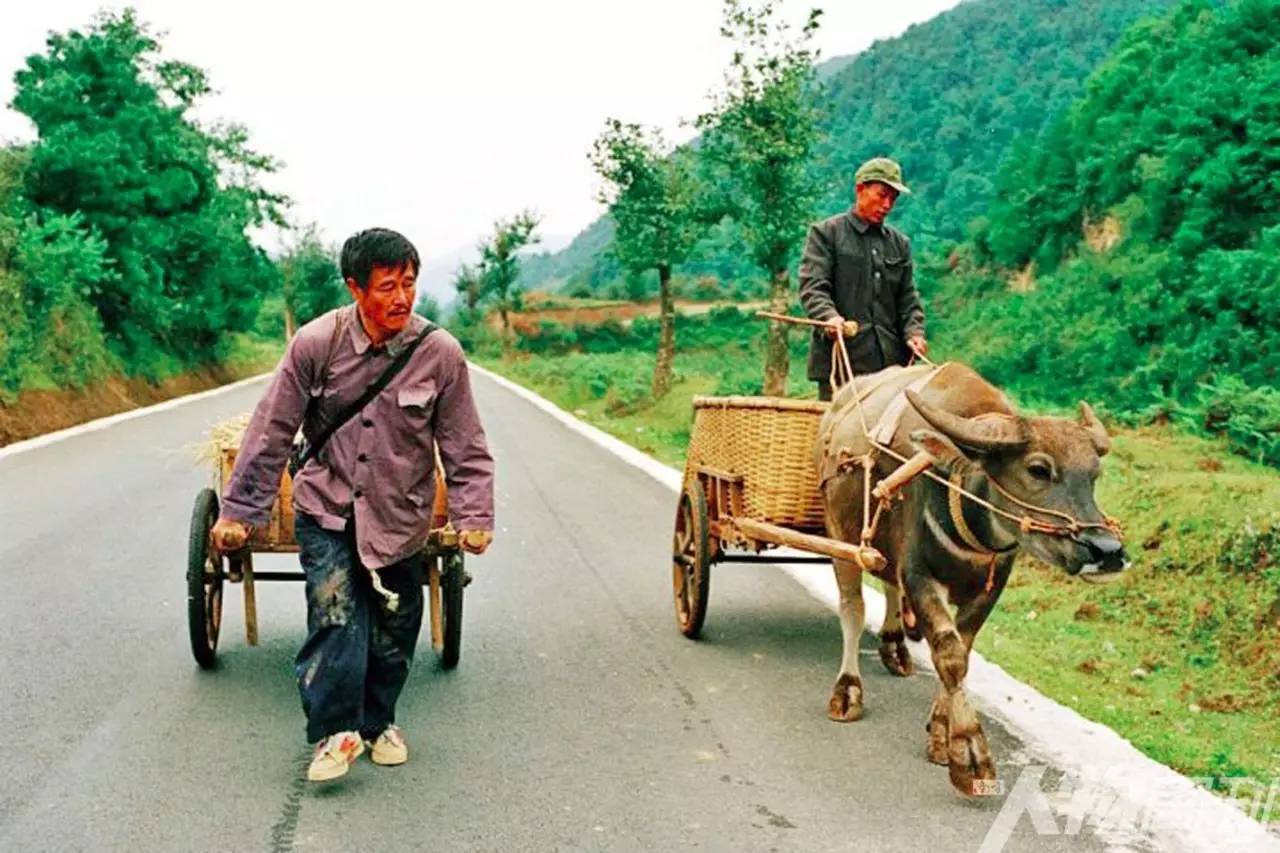 《落叶归根》是一部国产好片，但如果不是赵本山主演，也许会更好