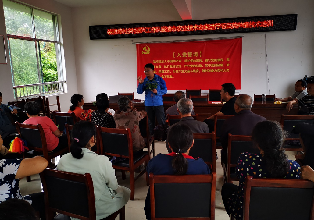 ​种好“小毛豆”，解决大问题——市人大机关驻装粮埠村乡村振兴工作队为群众办实事