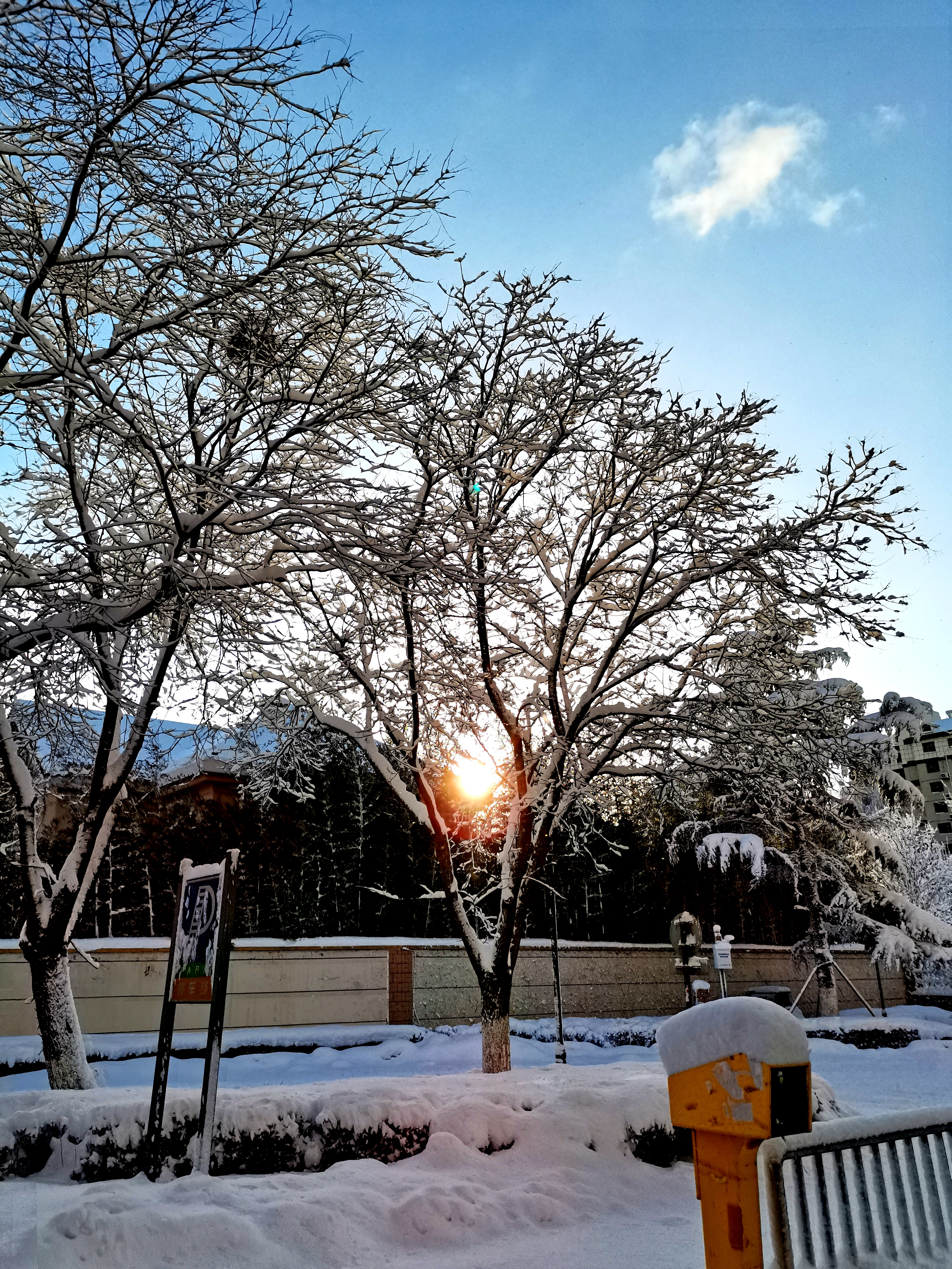 《念，白雪》诗：赫唯伯（字 安峰）影：赫安峰