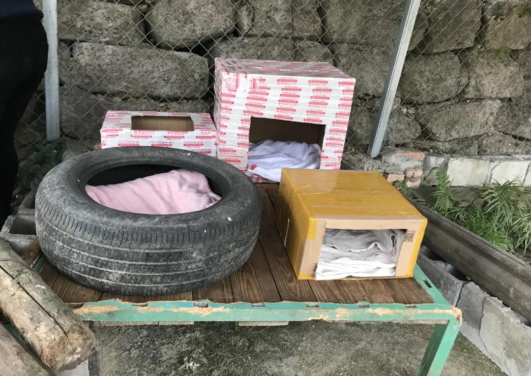 浙动保金华中心“关爱动物，温暖宠心”活动圆满结束