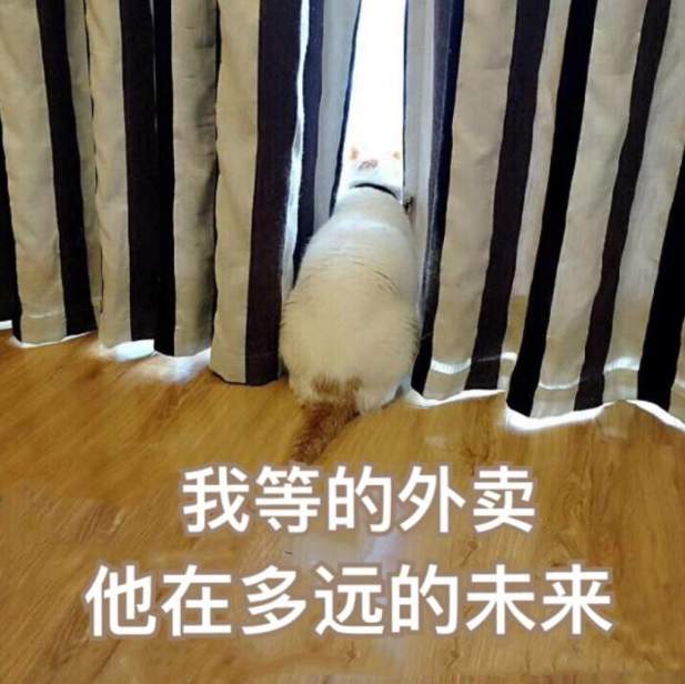 互联网驶入“下半场”：百度打响“第一枪”，刘强东紧随其后
