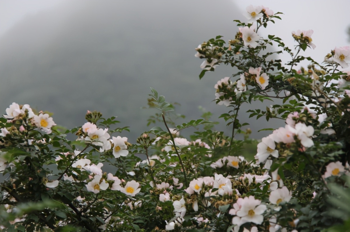�ն����鱣���Ƽ����޹�˾�����÷��ȼӹ������ò�Ʒζ���ʴ�