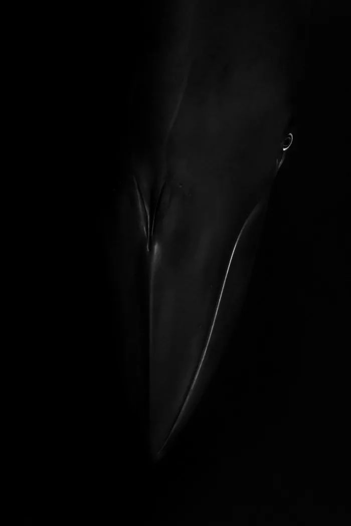 分不清是現實還是虛幻：45張攝影作品，捕捉大自然的神秘