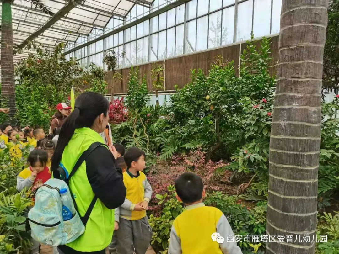 ����عˡ����ն��׶�԰�а�����ѧ��ʵ�߽���δ��