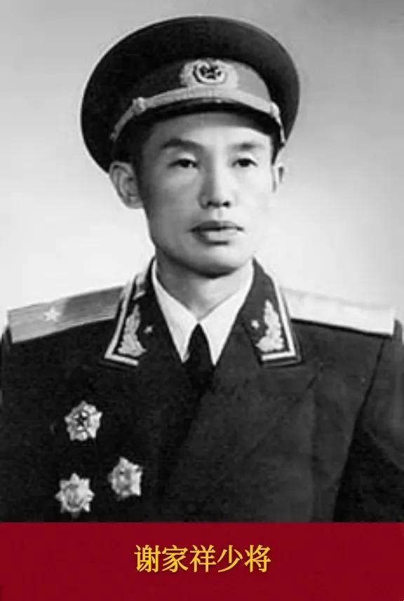 �й������ž��״����θ���������ί����