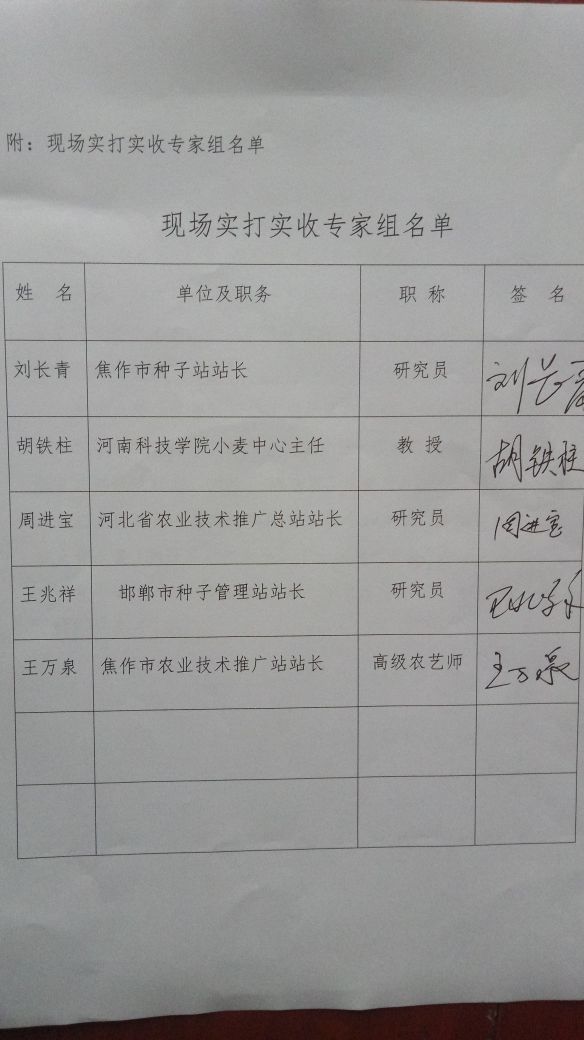 我國小麥育種傳喜訊：邯鄲市育成的矮大穗、雙國審小麥新品種“眾信麥998”實打實收刷新全國小麥高產紀錄