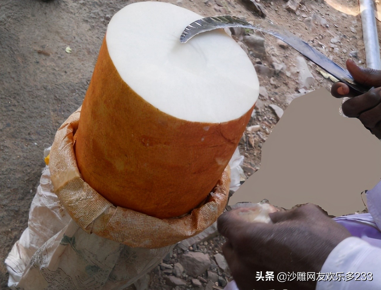 一种很神秘的印度水果，吃法如兰州拉面的牛肉