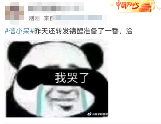 中国锦鲤女孩信小呆致歉事件激起一阵网浪，微博曝光超级主播KING被关闭