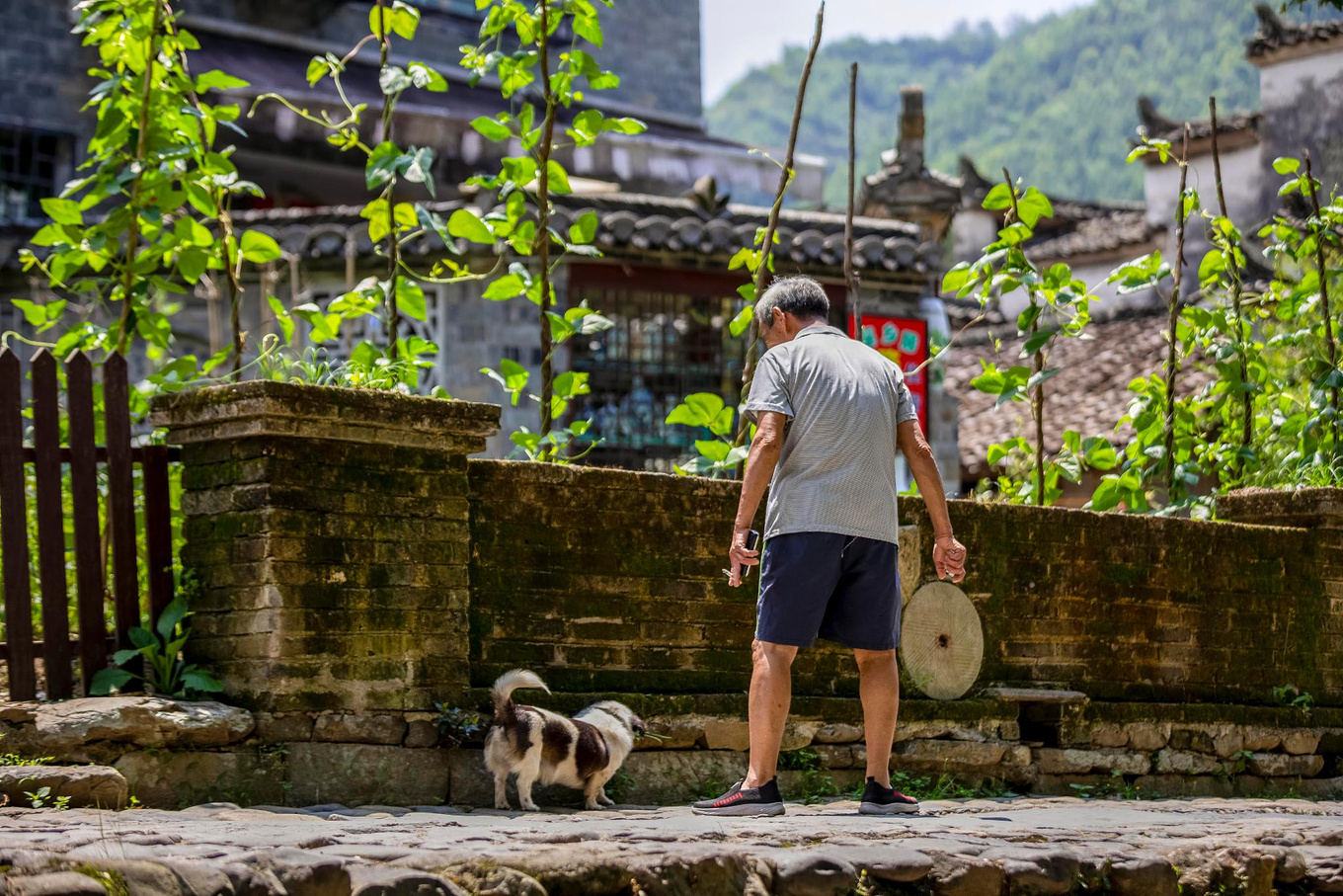 江西风景独好，走进千年瓷都景德镇，一起领略千年瓷都的迷人之处